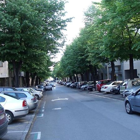 Botanical Garden Apartments Beograd Eksteriør billede